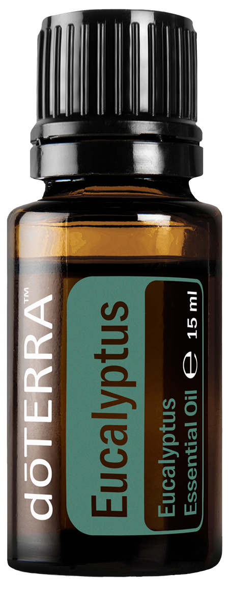 Eucalyptus doterra